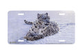"Snowy Repose" - Decorative License Plate