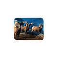 "Boys in the Band" - 2.5" X 3.5" Rectangle Fridge Magnets
