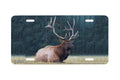 "Downtime" - Decorative License Plate