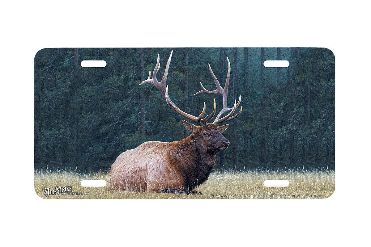 "Downtime" - Decorative License Plate