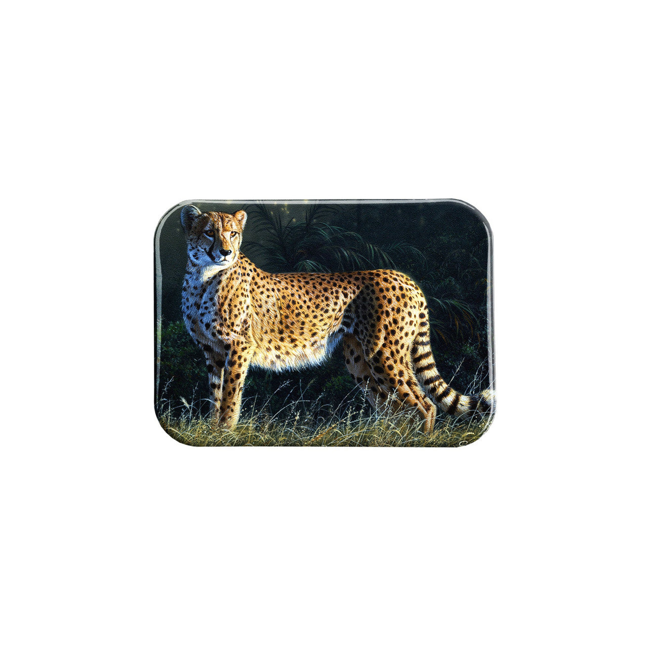 "Duma" - 2.5" X 3.5" Rectangle Fridge Magnets