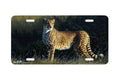 "Duma" - Decorative License Plate
