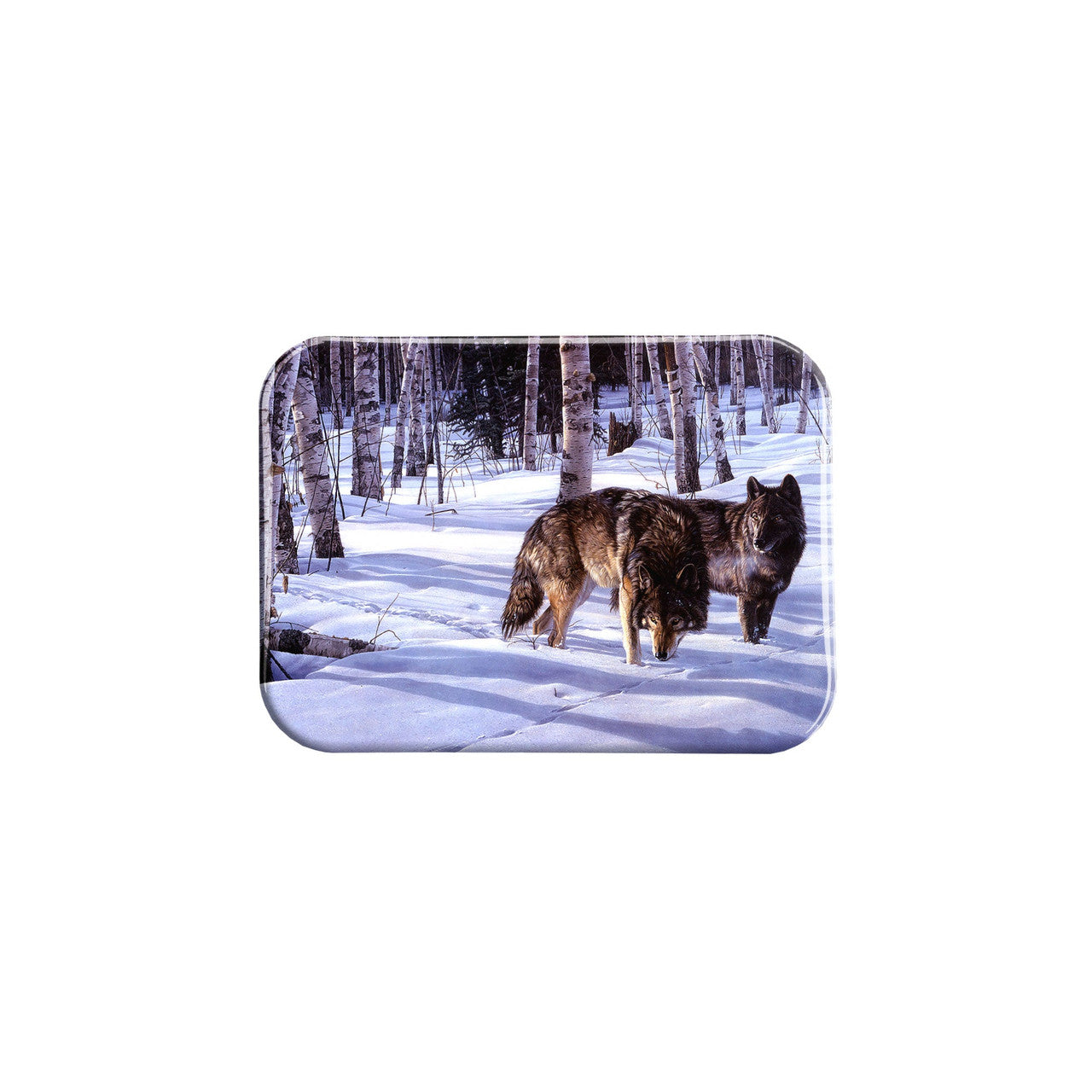 "When Paths Cross " - 2.5" X 3.5" Rectangle Fridge Magnets
