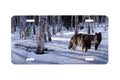 "When Paths Cross " - Decorative License Plate