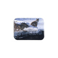 "Bobcat on Icy Bank" - 2.5" X 3.5" Rectangle Fridge Magnets