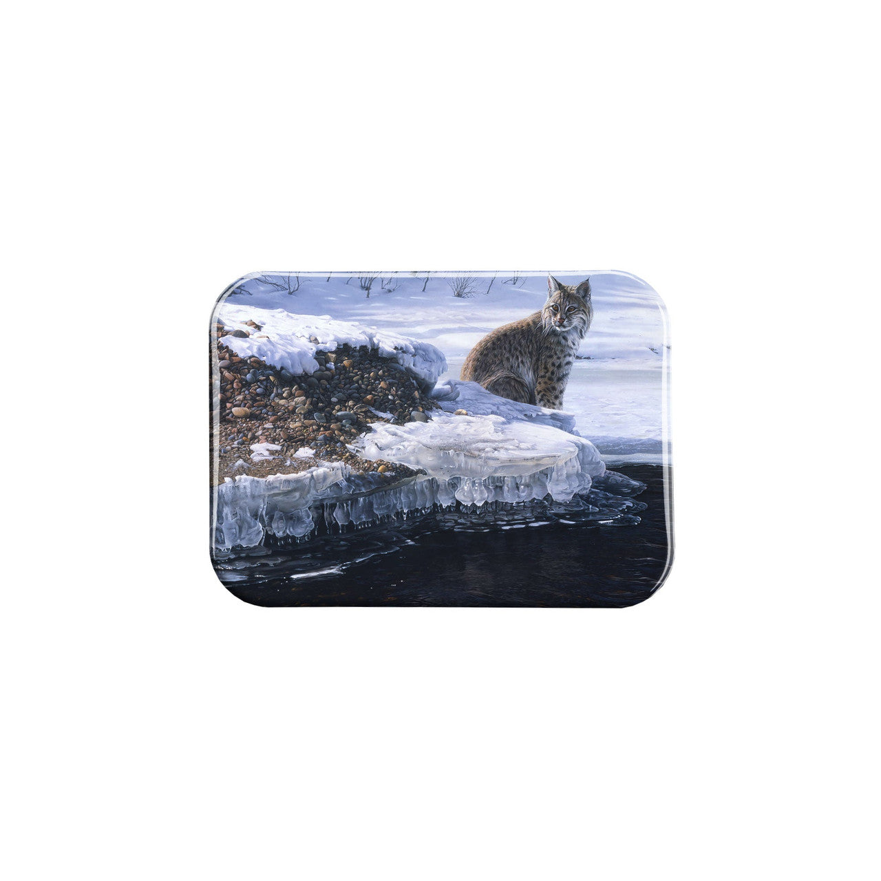 "Bobcat on Icy Bank" - 2.5" X 3.5" Rectangle Fridge Magnets