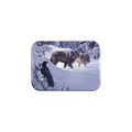 "On Common Ground" - 2.5" X 3.5" Rectangle Fridge Magnets