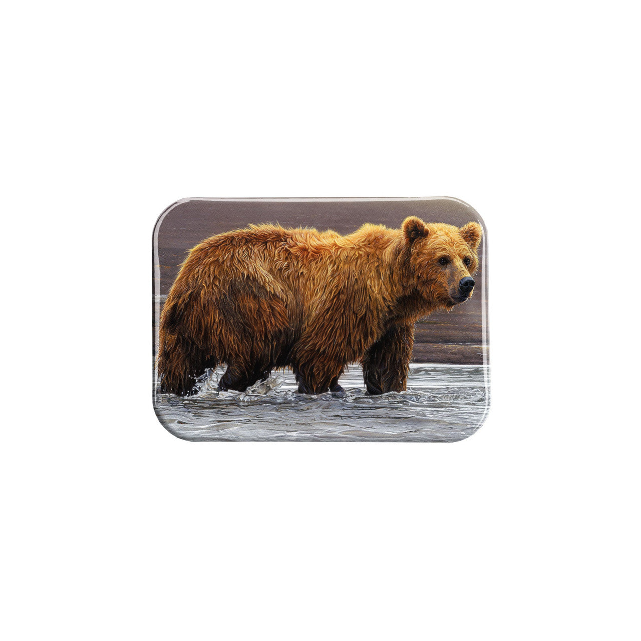 "Land of Plenty" - 2.5" X 3.5" Rectangle Fridge Magnets