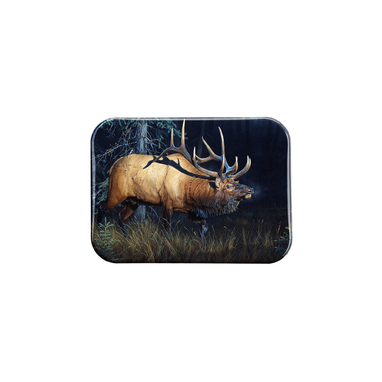 "Sun Struck" - 2.5" X 3.5" Rectangle Fridge Magnets