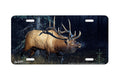 "Sun Struck" - Decorative License Plate