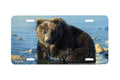"Chill Factor" - Decorative License Plate