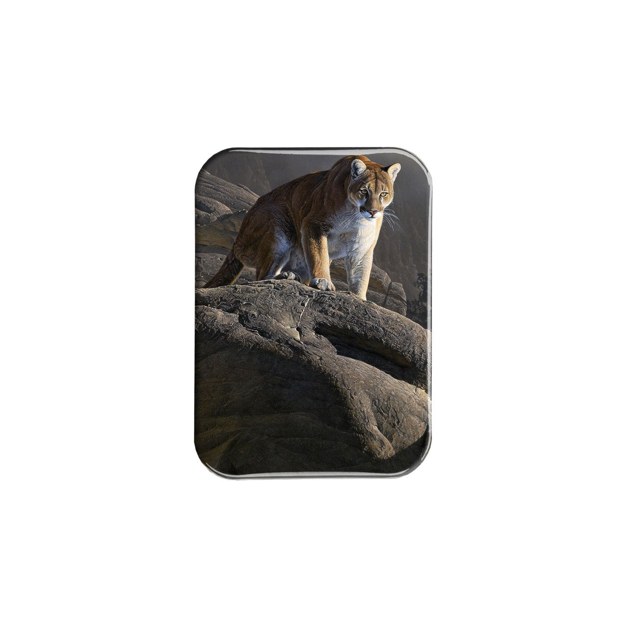 "On The Edge" - 2.5" X 3.5" Rectangle Fridge Magnets
