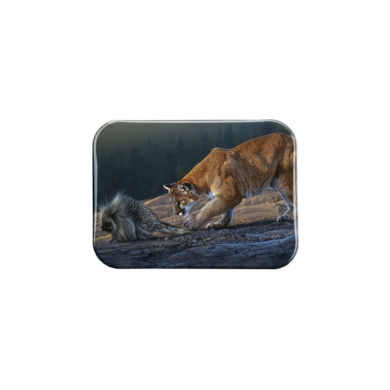 "Prickly Pursuit" - 2.5" X 3.5" Rectangle Fridge Magnets