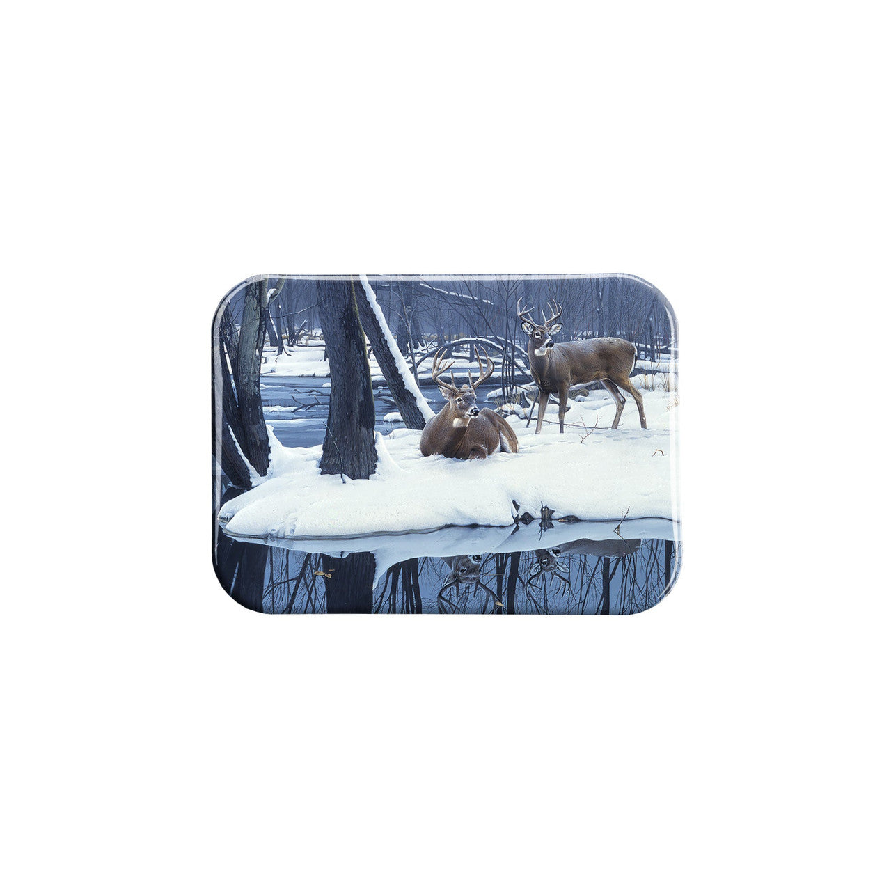 "Winter Whites" - 2.5" X 3.5" Rectangle Fridge Magnets