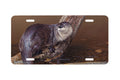 "Waterlogged" - Decorative License Plate
