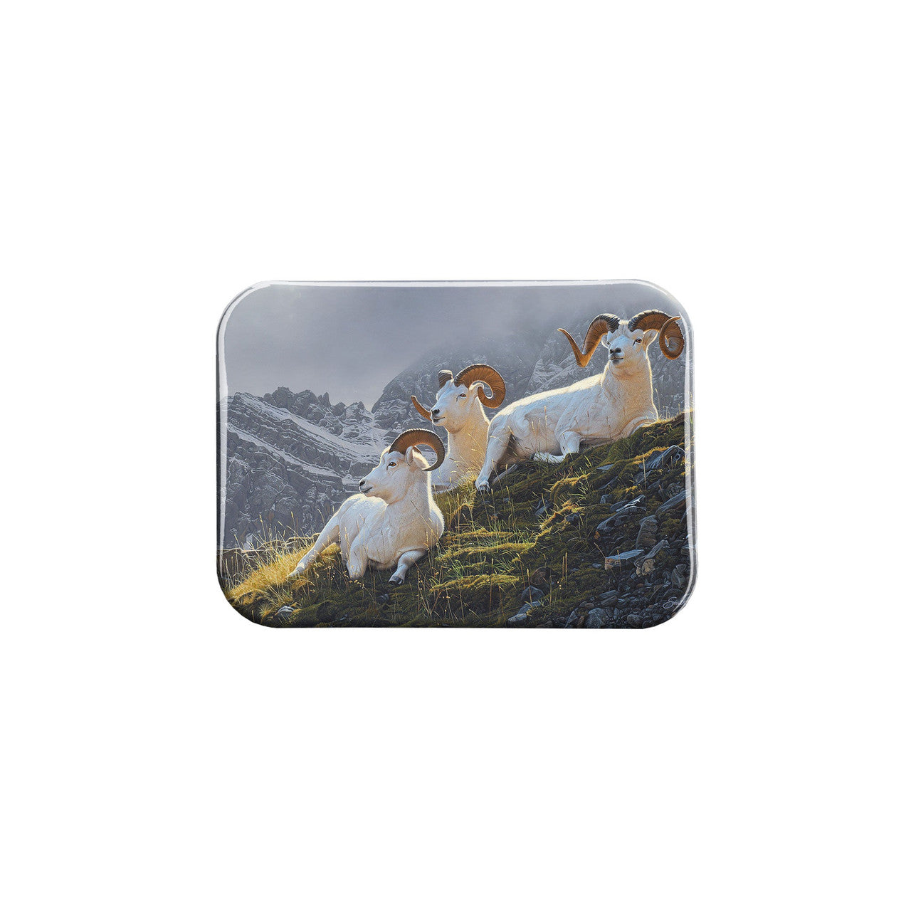 "Summit Sanctuary" - 2.5" X 3.5" Rectangle Fridge Magnets