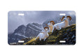 "Summit Sanctuary" - Decorative License Plate