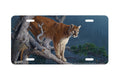 "Silent Surveillance" - Decorative License Plate