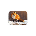 "Radiant Red" - 2.5" X 3.5" Rectangle Fridge Magnets