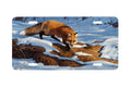 "On the Sly" - Decorative License Plate
