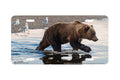 "Kodiak Collaboration" - Decorative License Plate