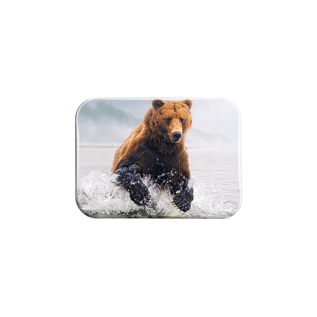 "Fluid Force" - 2.5" X 3.5" Rectangle Fridge Magnets