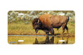 "Riparian Retreat" - Decorative License Plate