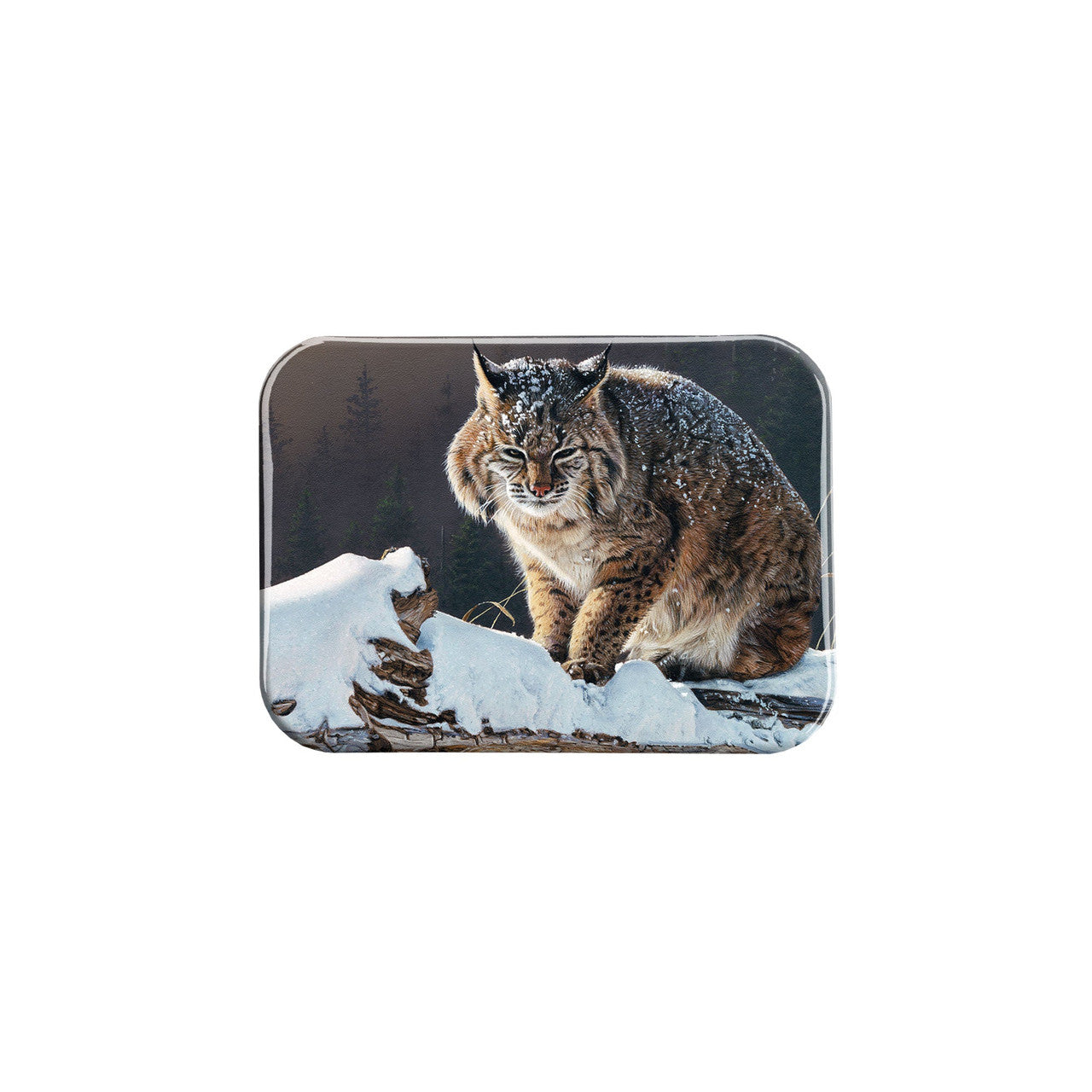 "The Waiting Game" - 2.5" X 3.5" Rectangle Fridge Magnets