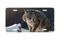 "The Waiting Game" - Decorative License Plate