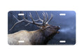 "Call of Autumn II" - Decorative License Plate