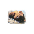 "Riverbank Refreshment" - 2.5" X 3.5" Rectangle Fridge Magnets