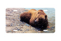 "Riverbank Refreshment" - Decorative License Plate