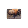 "Dust Devil" - 2.5" X 3.5" Rectangle Fridge Magnets