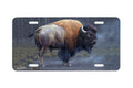 "Dust Devil" - Decorative License Plate