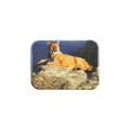 "Fleeting Sun" - 2.5" X 3.5" Rectangle Fridge Magnets