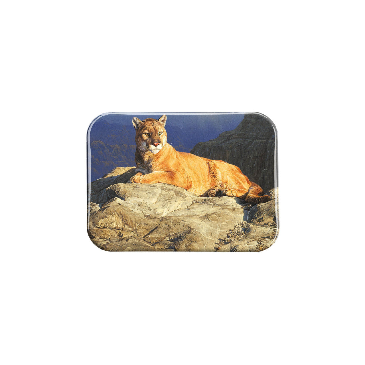 "Fleeting Sun" - 2.5" X 3.5" Rectangle Fridge Magnets
