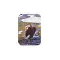"High Country II" - 2.5" X 3.5" Rectangle Fridge Magnets