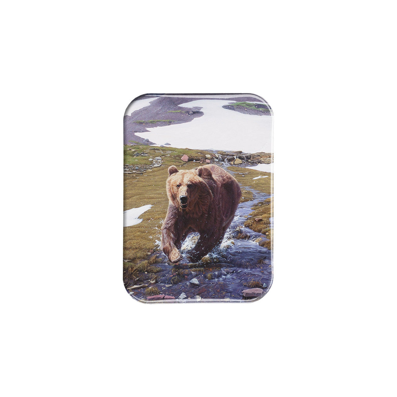 "High Country II" - 2.5" X 3.5" Rectangle Fridge Magnets
