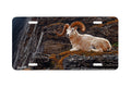 "Mountain Mosaic" - Decorative License Plate