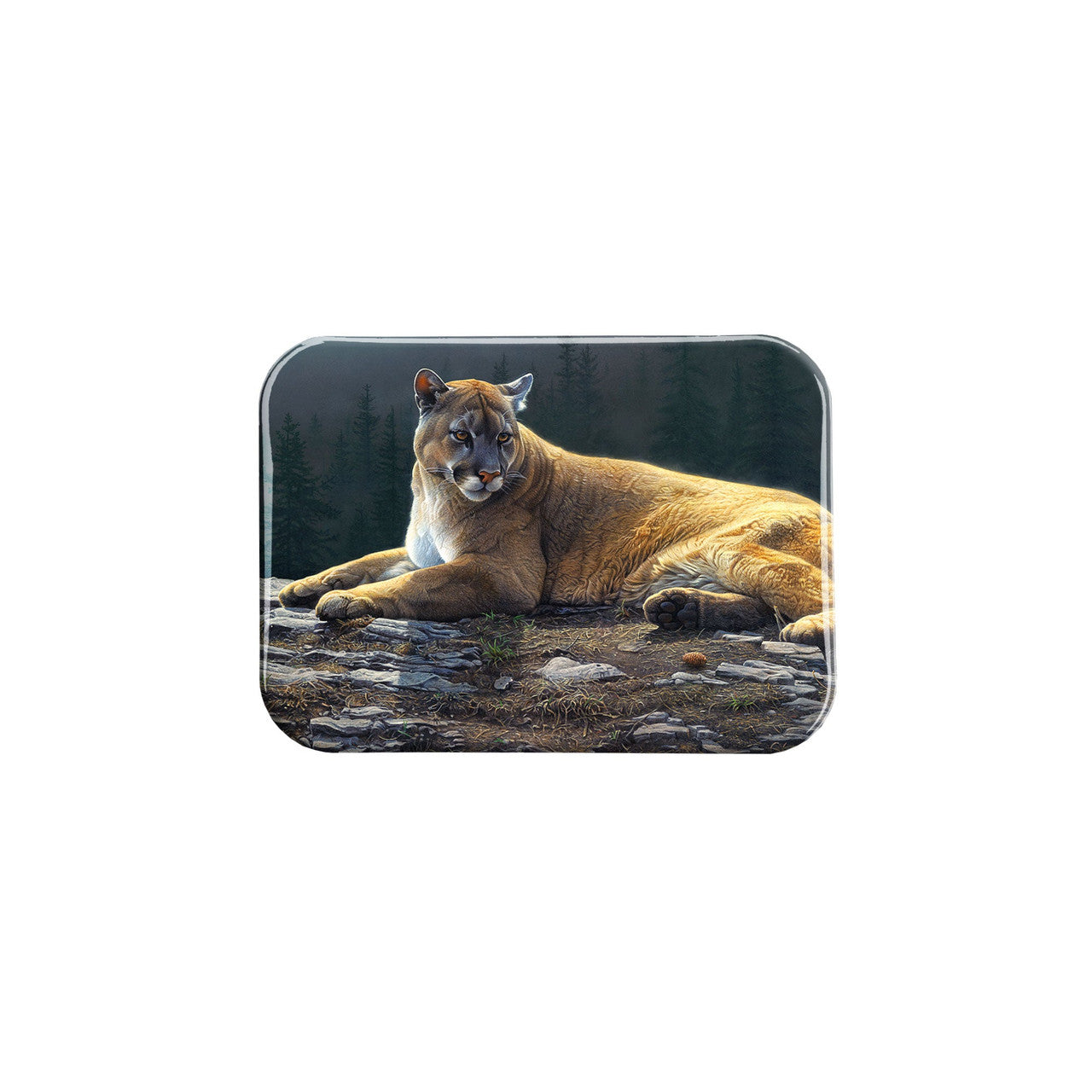 "Radiant Repose" - 2.5" X 3.5" Rectangle Fridge Magnets