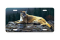 "Radiant Repose" - Decorative License Plate