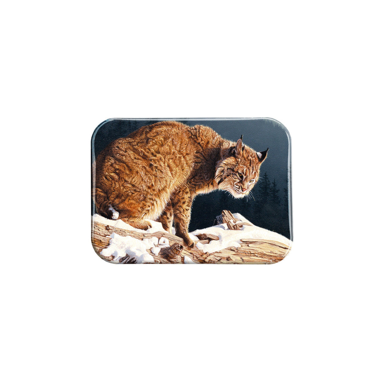 "Silent Vigil" - 2.5" X 3.5" Rectangle Fridge Magnets