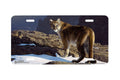 "Skirting the Rim" - Decorative License Plate