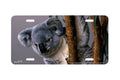 "Young Koala" - Decorative License Plate
