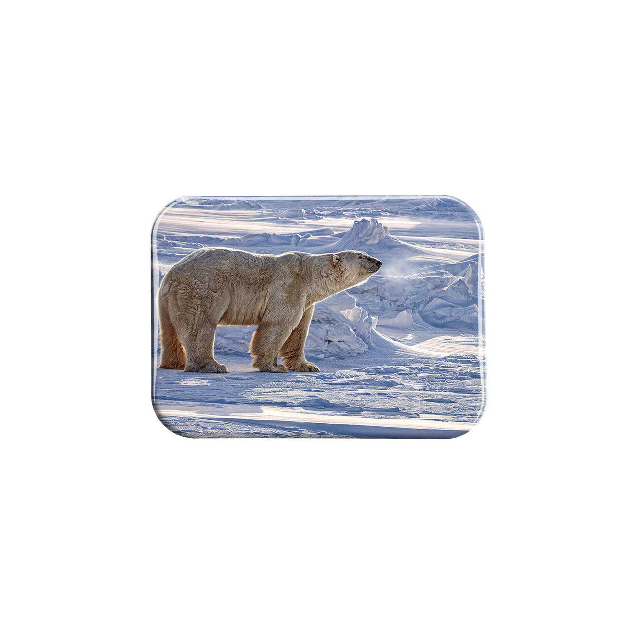 "Arctic Aura" - 2.5" X 3.5" Rectangle Fridge Magnets