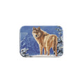 "Cold Stare" - 2.5" X 3.5" Rectangle Fridge Magnets
