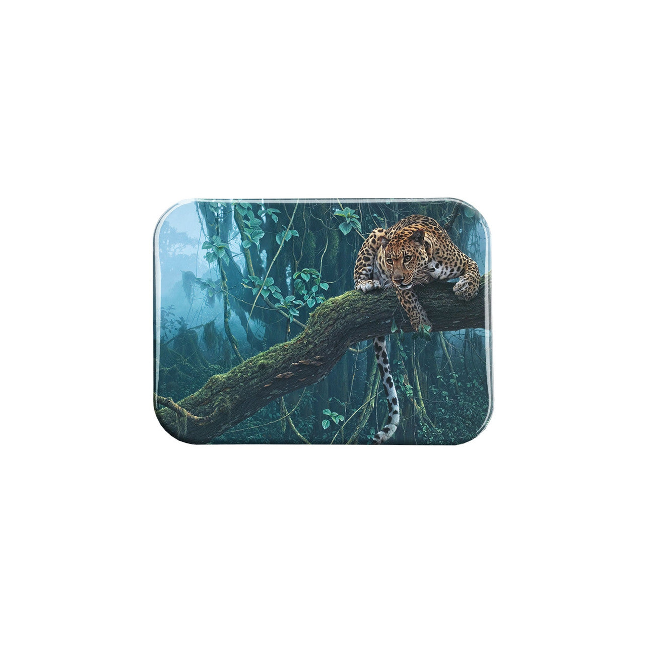 "Fatal Attraction" - 2.5" X 3.5" Rectangle Fridge Magnets