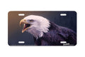 "Out of the Silence" - Decorative License Plate