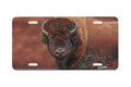 "American Made" - Decorative License Plate