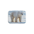 "Arctic Allure" - 2.5" X 3.5" Rectangle Fridge Magnets